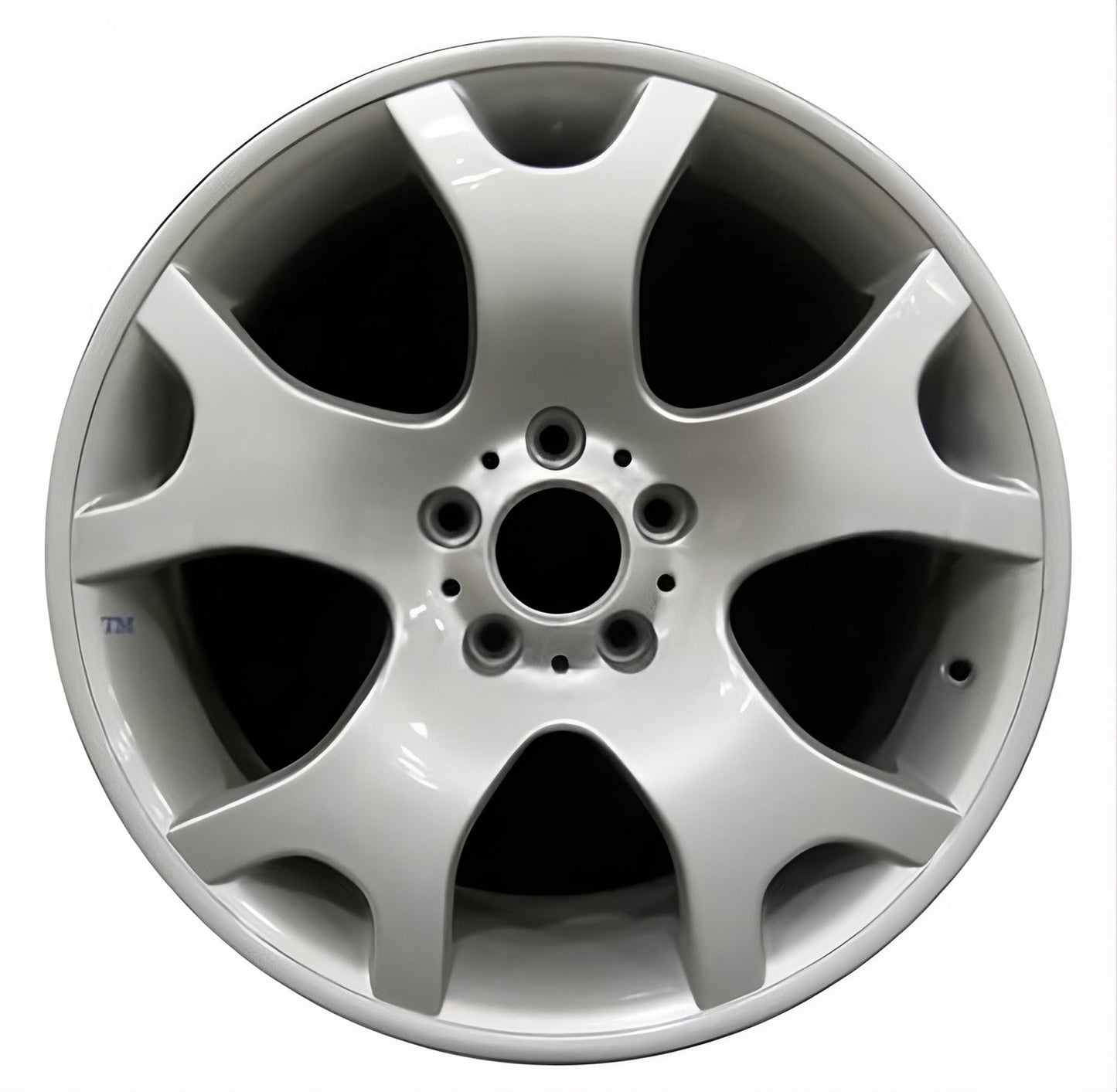 BMW X5 2001-2006 Factory OEM Car Wheel Size 19x10 Alloy 59335RE.LS01.FF