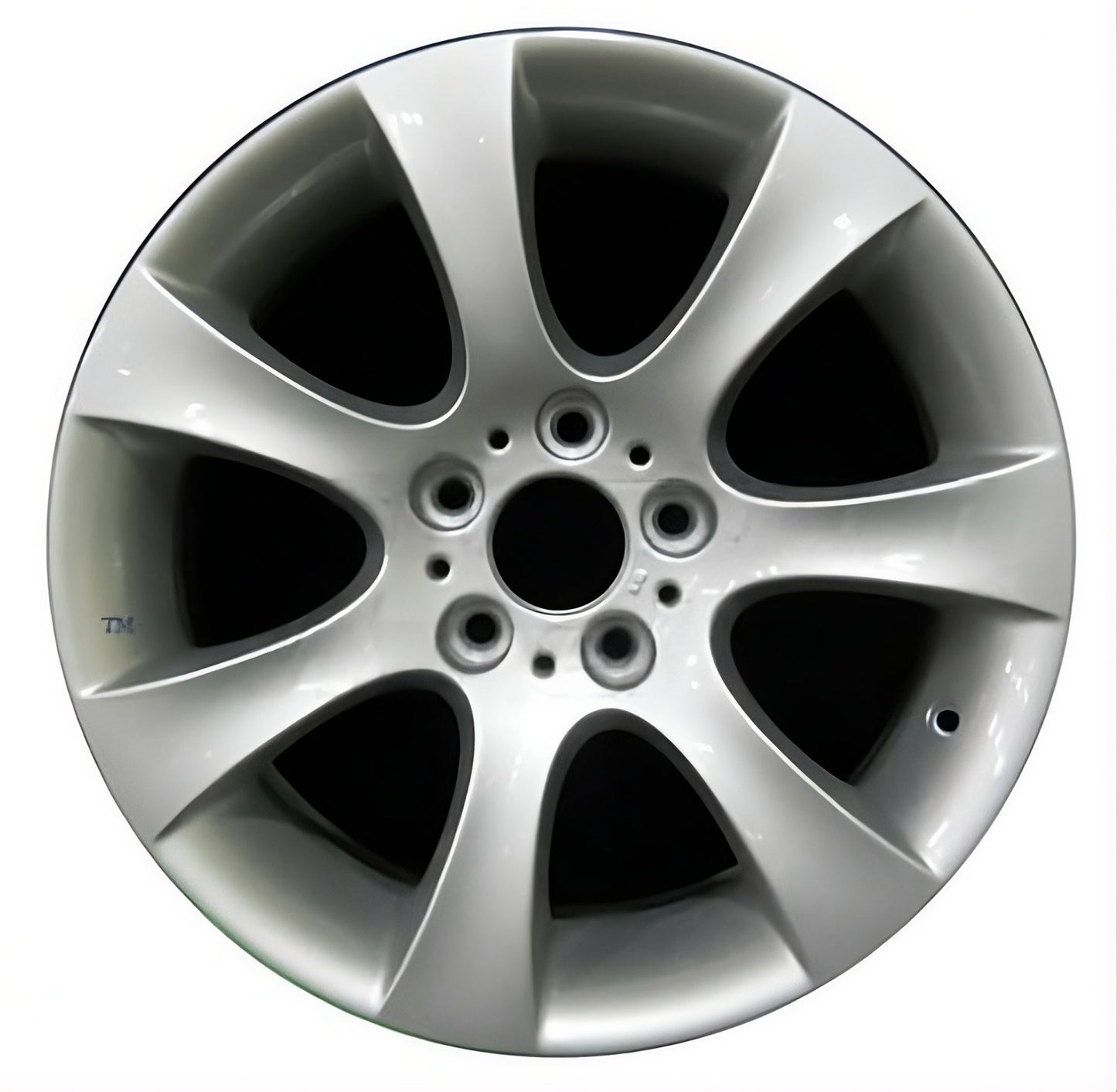 BMW 525i 2006-2007 Factory OEM Car Wheel Size 18x8 Alloy 59559FT.LS01.FF