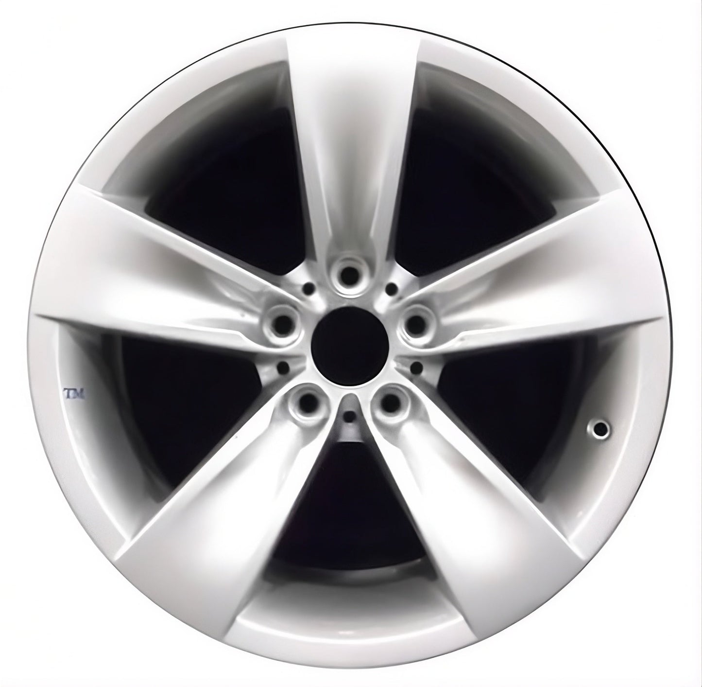 BMW 525i 2006-2010 Factory OEM Car Wheel Size 18x8 Alloy 71209.LS03.FF