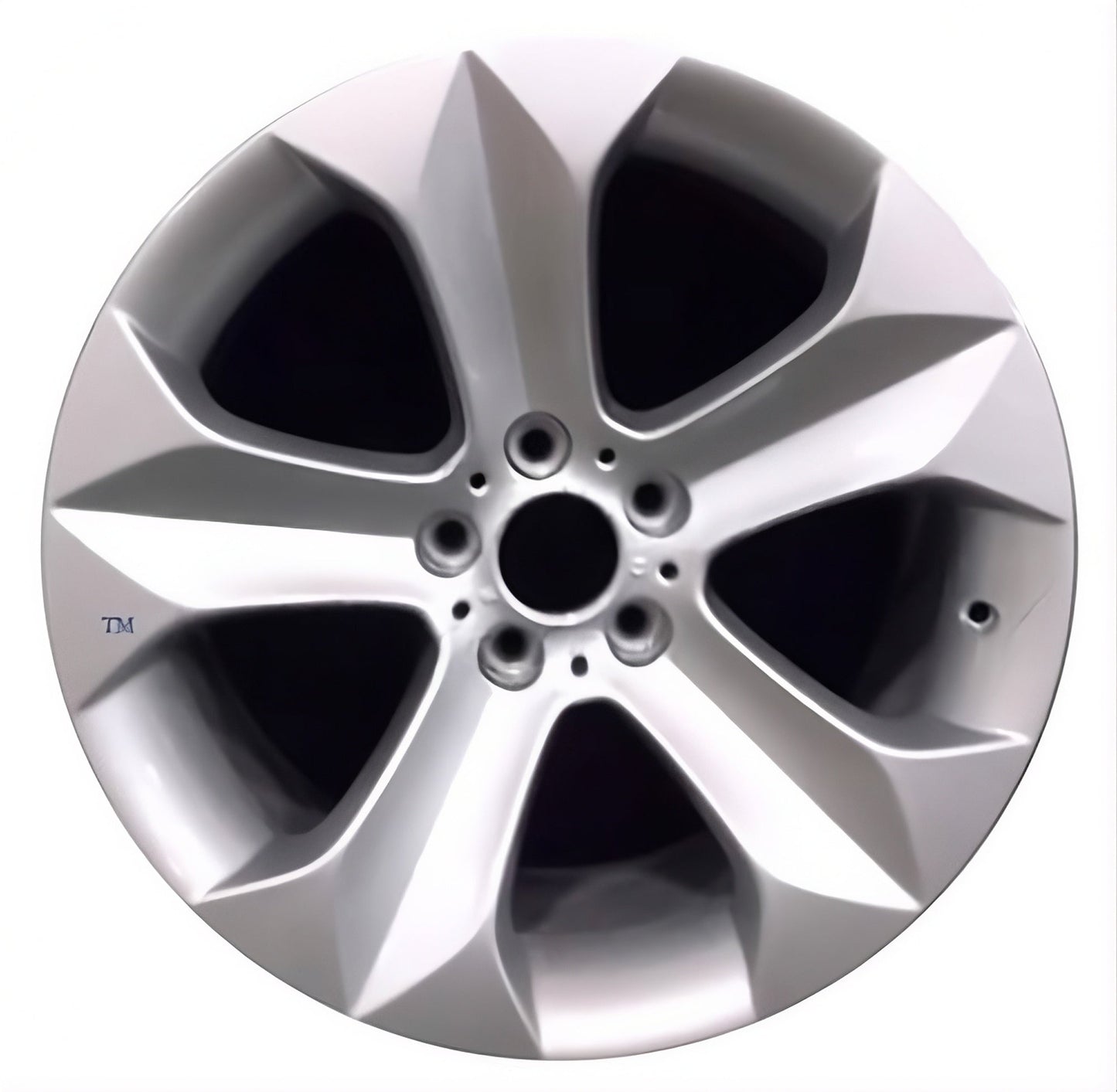 BMW X6 2008-2014 Factory OEM Car Wheel Size 19x9 Alloy 71279FT.LS03.FF
