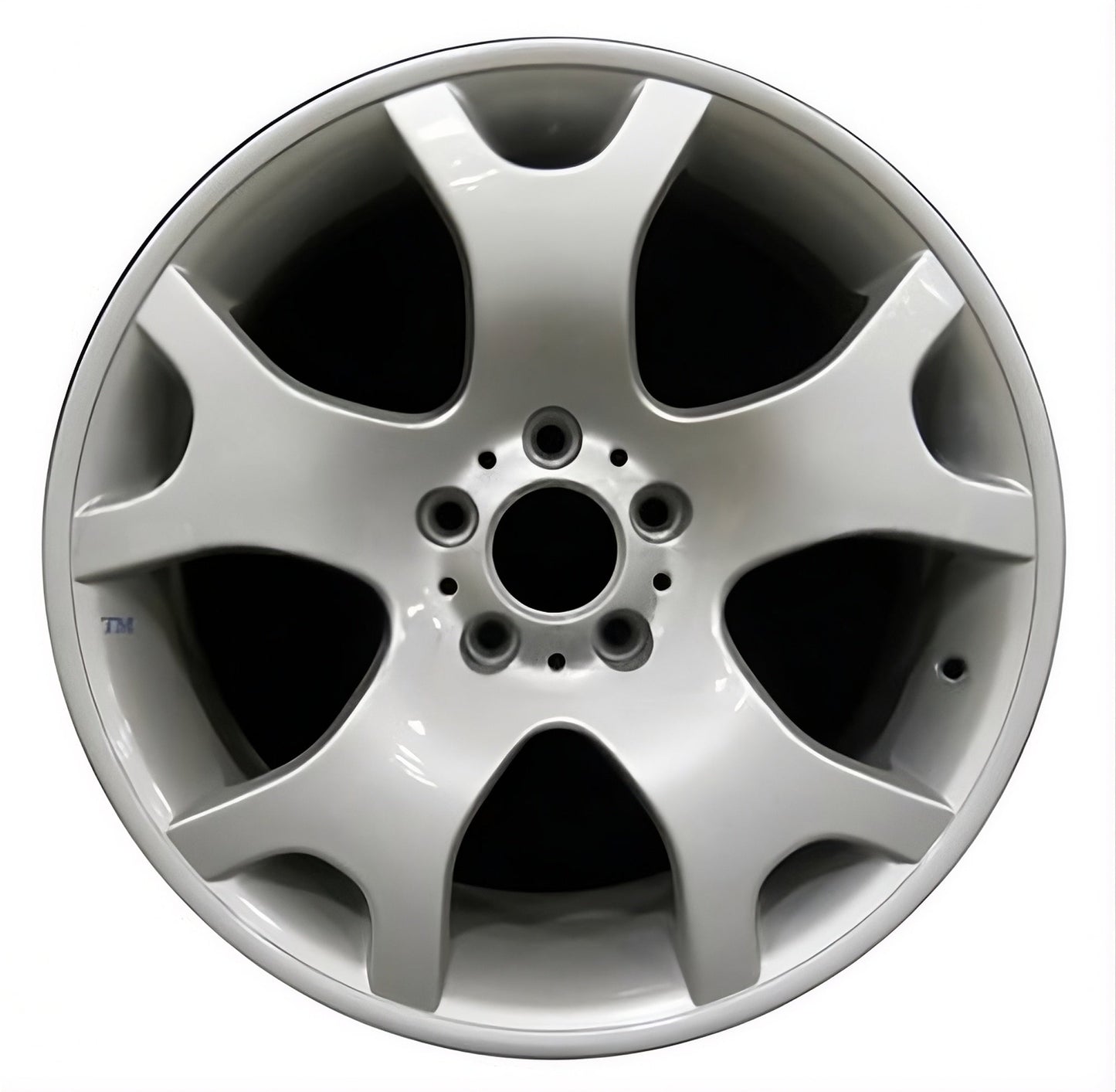 BMW X5  2001-2006 Factory OEM Car Wheel Size 19x9 Alloy 59333FT.LS01.FF