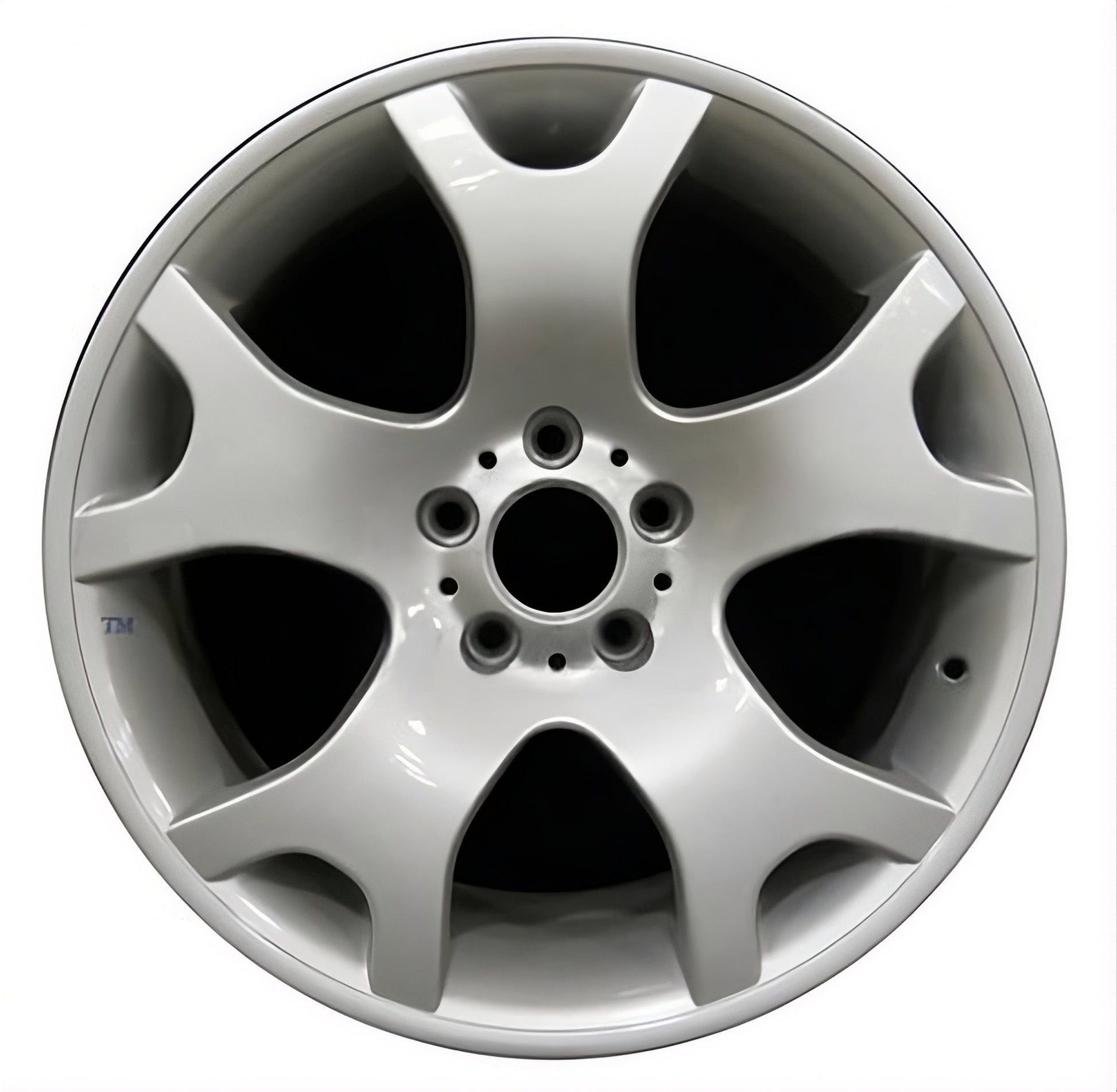BMW X5  2001-2006 Factory OEM Car Wheel Size 19x9 Alloy 59333FT.LS01.FF