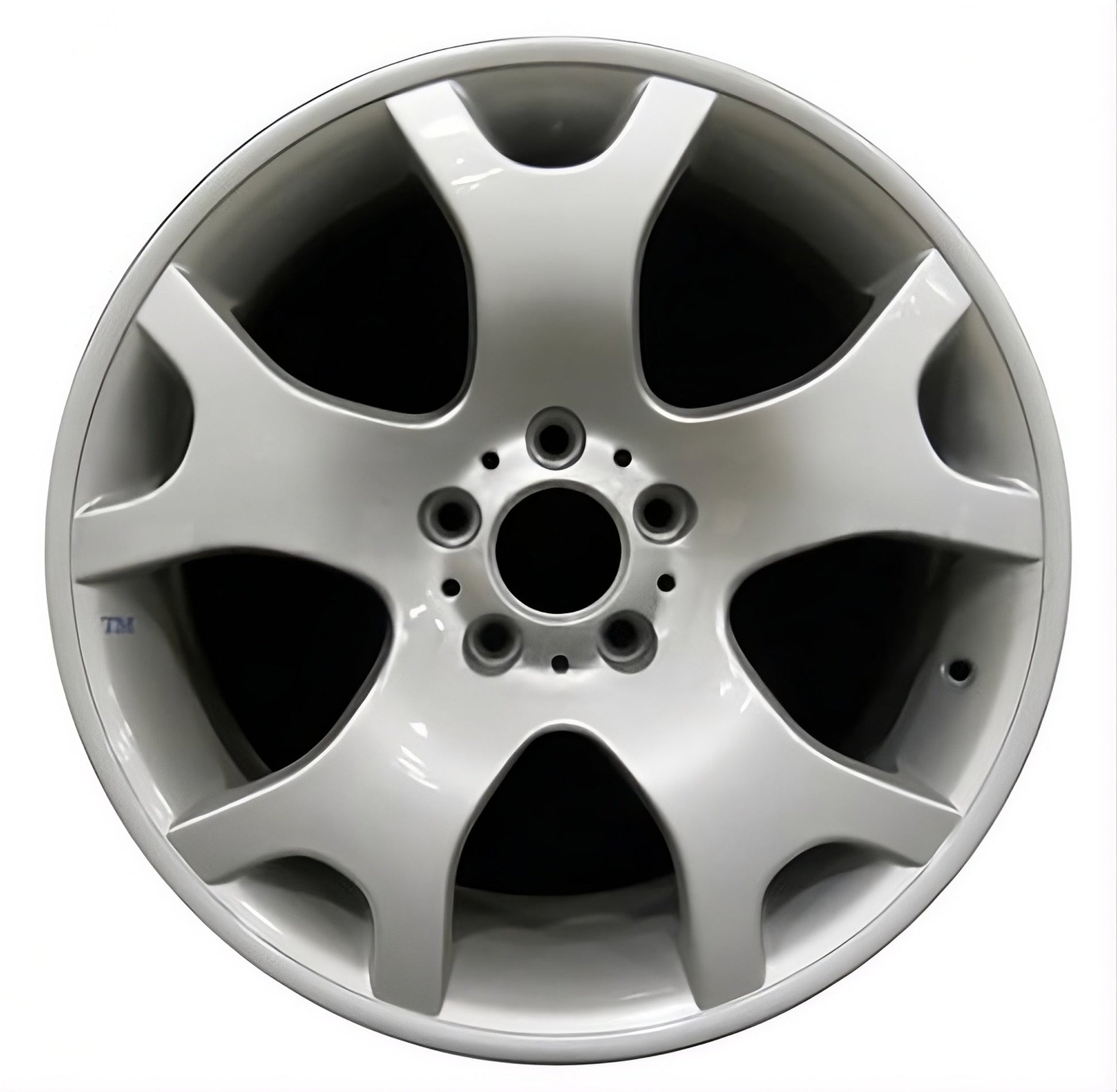 BMW X5  2001-2006 Factory OEM Car Wheel Size 19x10 Alloy 59335RE.LS01.FF