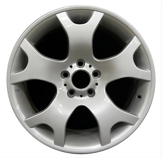 BMW X5  2001-2006 Factory OEM Car Wheel Size 19x10 Alloy 59335RE.LS01.FF