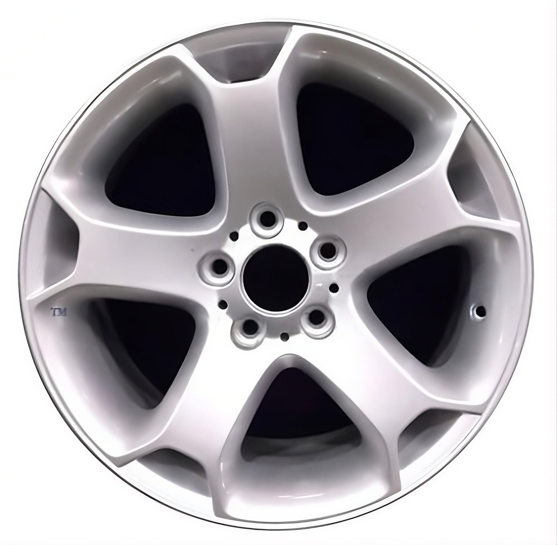BMW X5  2002-2006 Factory OEM Car Wheel Size 18x8.5 Alloy 59445.LS03.FF