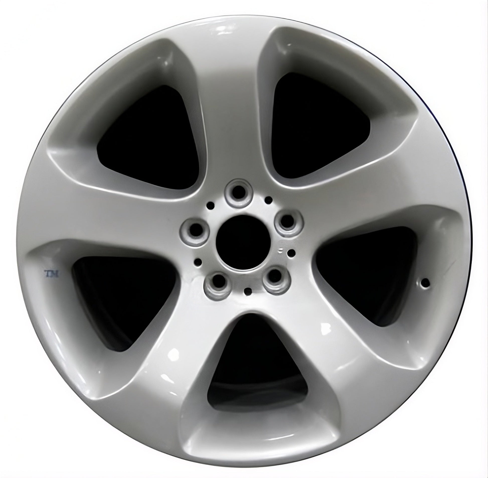 BMW X5  2002-2007 Factory OEM Car Wheel Size 19x10 Alloy 59448RE.PS06.FF