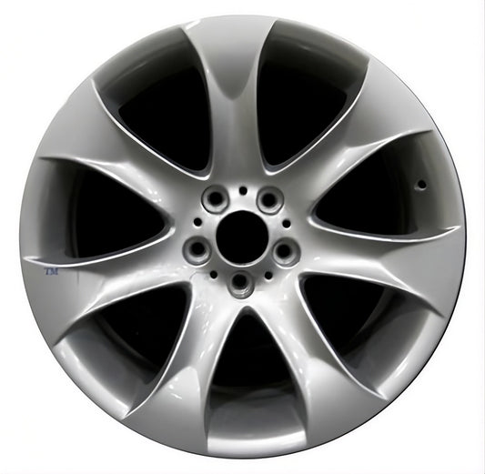 BMW X5  2004-2006 Factory OEM Car Wheel Size 20x9.5 Alloy 59486FT.PS17.FF