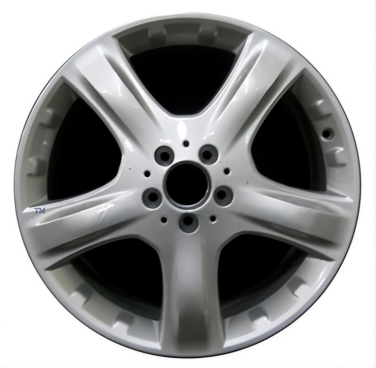 Mercedes R350 2010-2011 OEM Alloy Rim | 85115.LS01.FF – Finish Line Wheels